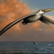 Illustration for article titled Behold The Largest Bird To Have Ever Flown